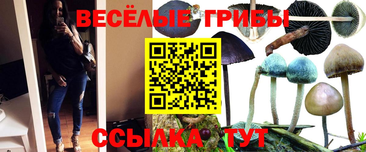Галлюциногенные грибы GOLDEN TEACHER Гурьевск
